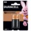 Imagem de PILHA ALCALINA AA DURACELL C/2