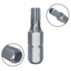 Imagem de BITS TORX LONGO PREMIUM T20 - Enc. 10mm x 80mm