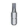 Imagem de BITS TORX LONGO PREMIUM T30 - Enc. 10mm x 80mm